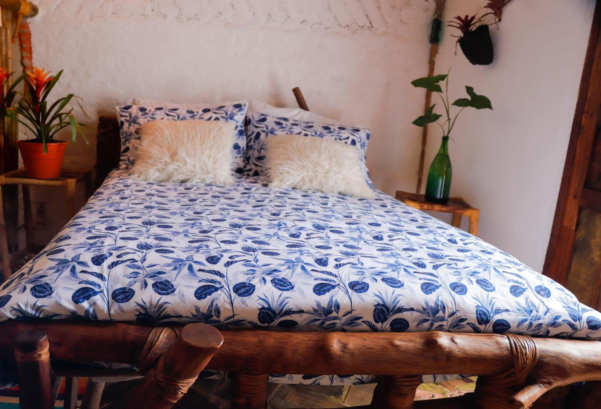 Hotel Casa Tarzan San Agustin 외부 사진